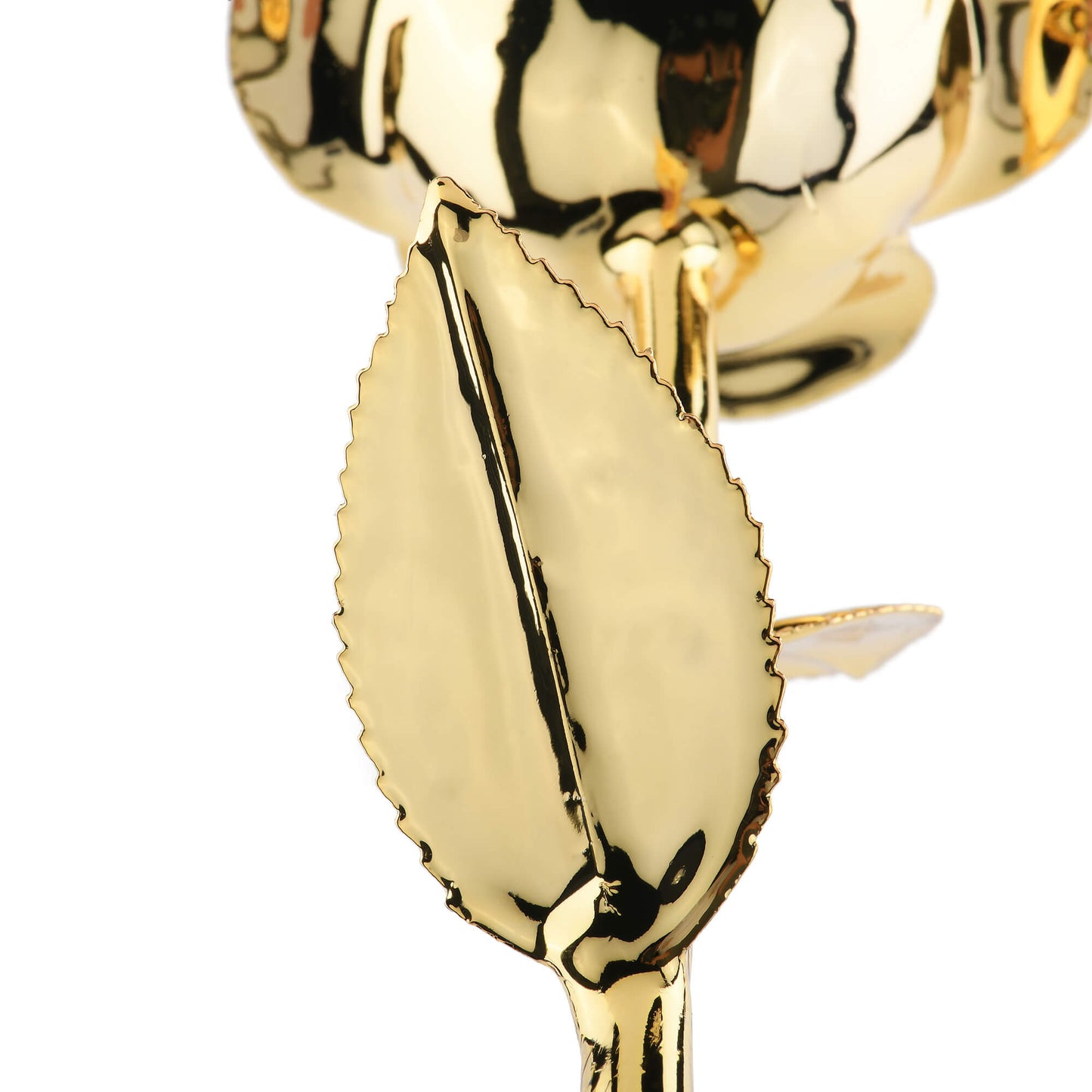 Timeless Rose (Gold)