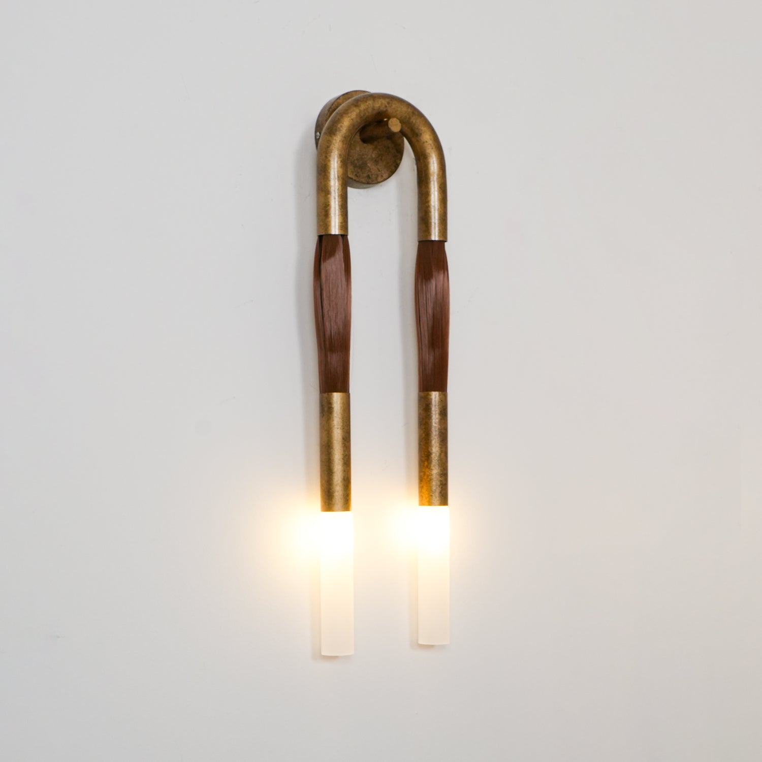 Horsehair Wall Sconce | Elegant Wrought Iron and Glass Design 2