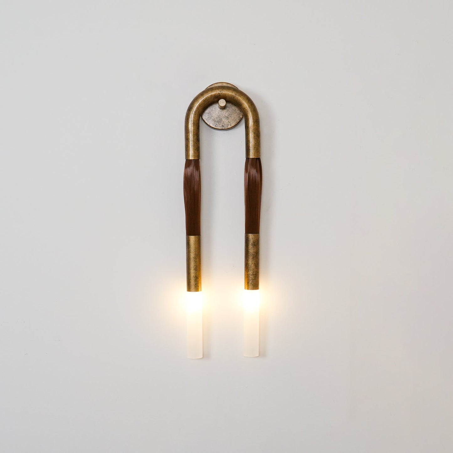 Horsehair Wall Sconce | Elegant Wrought Iron and Glass Design 5
