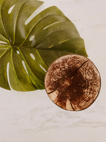 Coconut Bowl Set