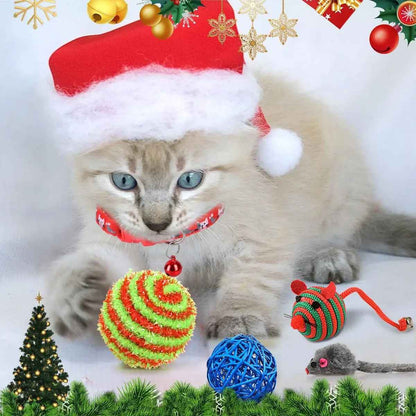 Interactive Cat Advent Calendar | Engaging Toys for Holiday Fun 2