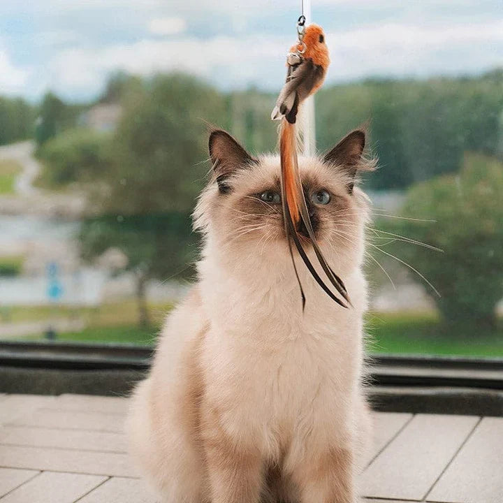 Interactive Cat Toy | Realistic Bird Movements for Engaging Play and Stimulation 2