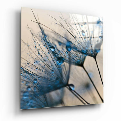 Arte de pared de vidrio Diente de león Rocío Azul