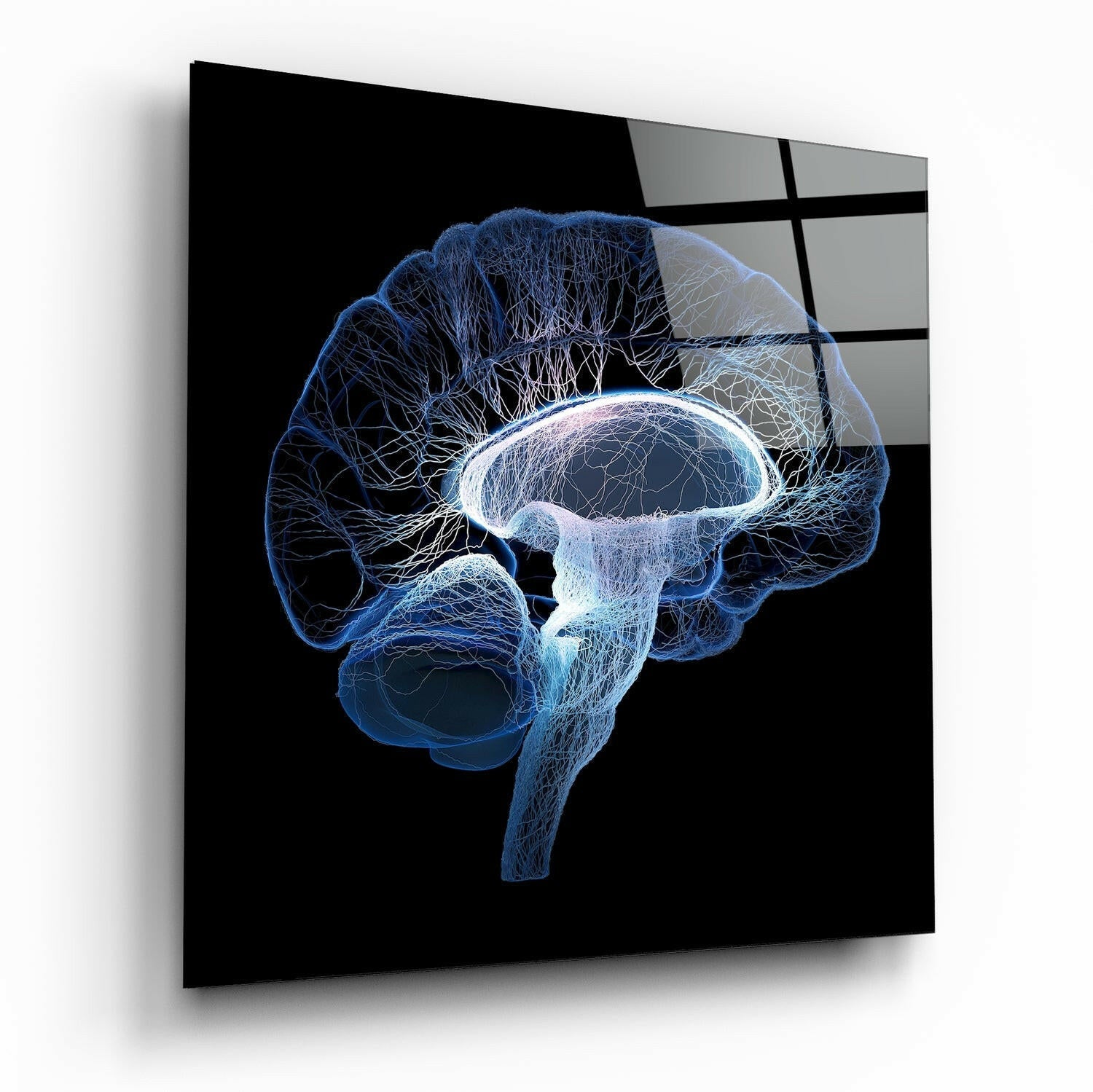 Arte de pared de vidrio con vista lateral de cerebro en estructura de alambre azul