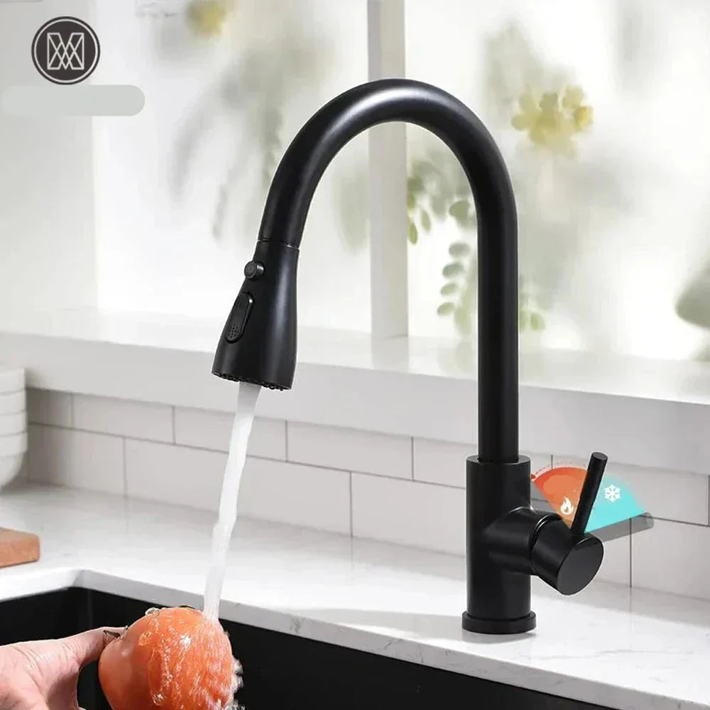 Kitchen Faucet with Sprayer | Modern Black Pull-Down Design 1