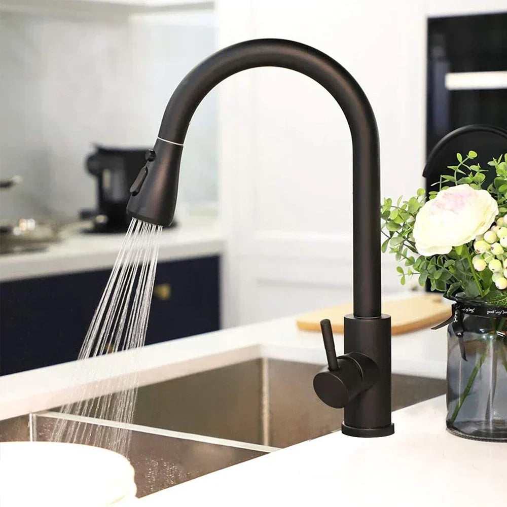 Kitchen Faucet with Sprayer | Pull-Down Spout in Black Stainless Steel 2