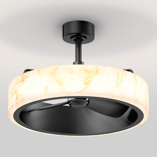 LED Modern Ceiling Fan | 23 in. with Remote Control & Dimmable Light 0