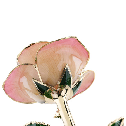 Timeless Rose (Light Pink)