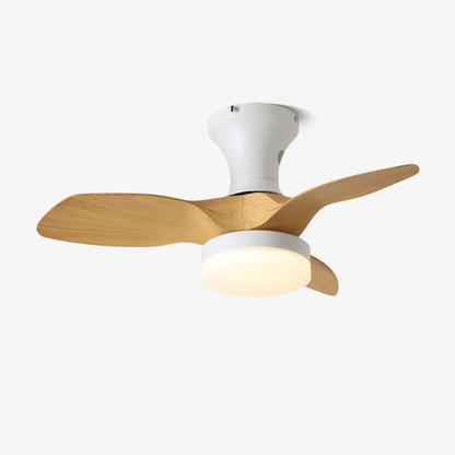 Modern Ceiling Fan Light | Energy-Efficient Design with LED and Remote Control 1