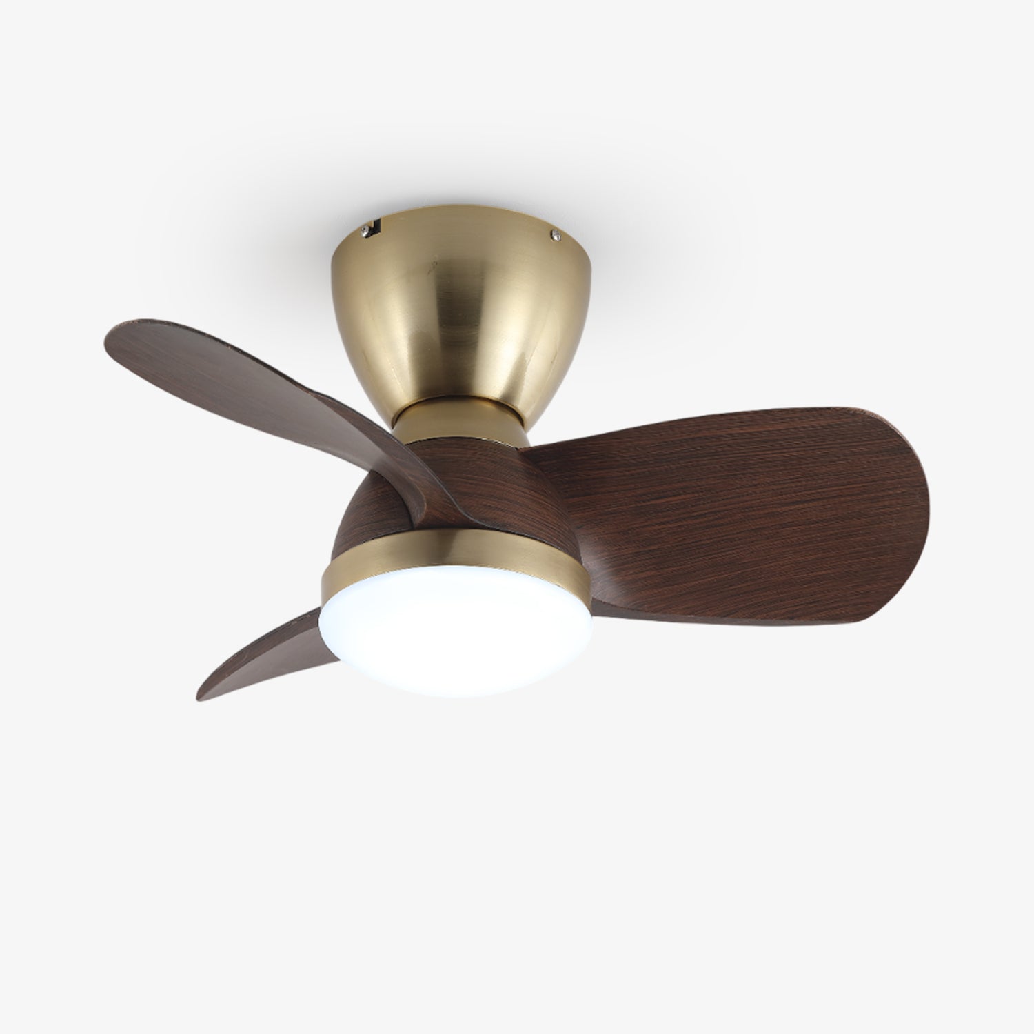 Modern Ceiling Fan Light with Integrated LED and Variable Speed Control 1