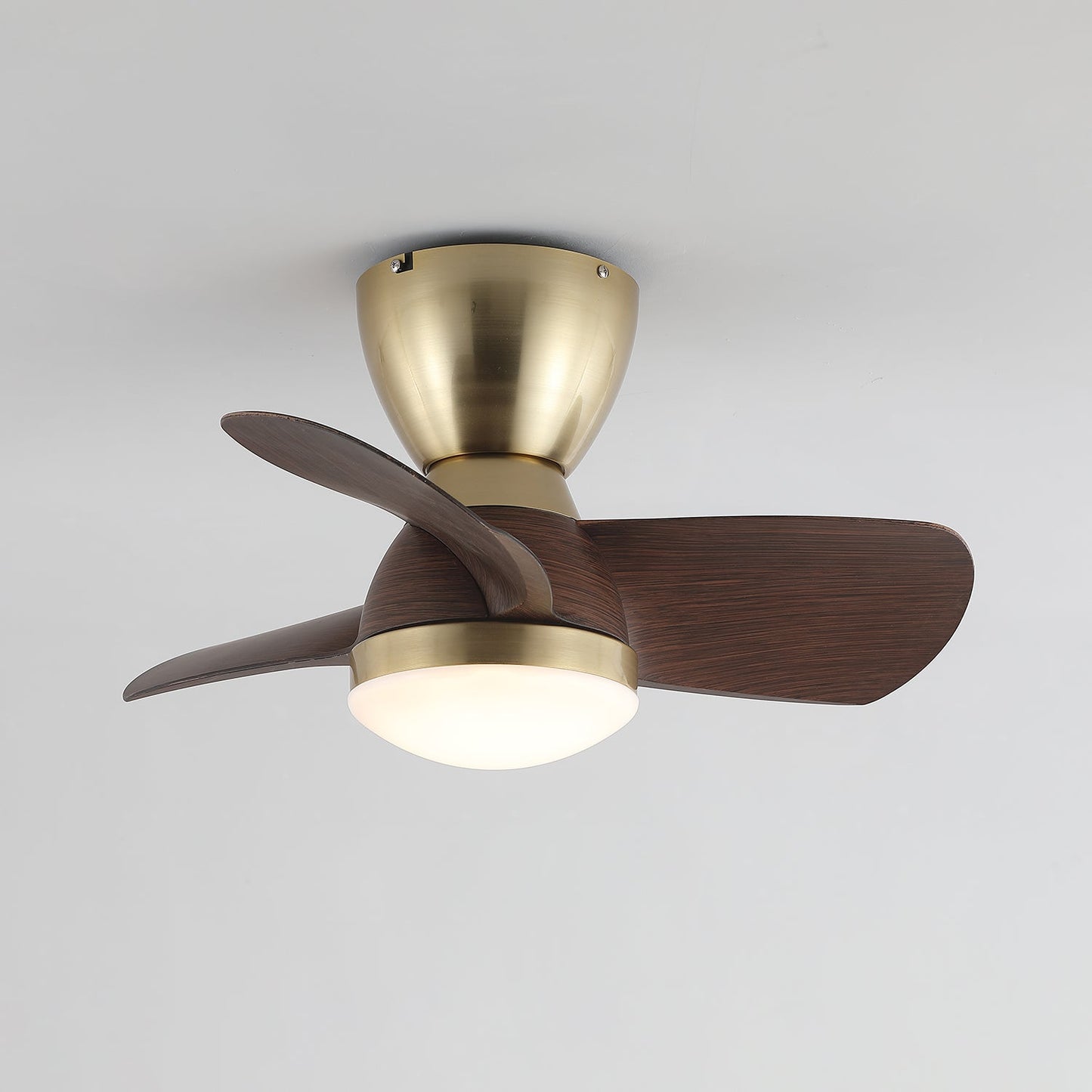 Modern Ceiling Fan Light with Integrated LED and Variable Speed Control 8