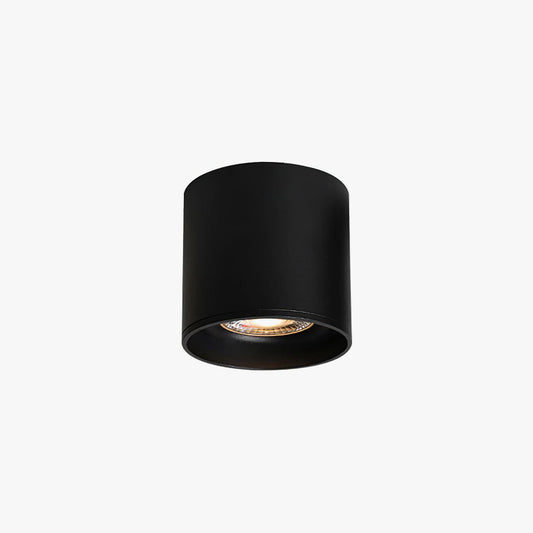 Modern Ceiling Light Fixture | Sleek Metal Design with LED Lens 0