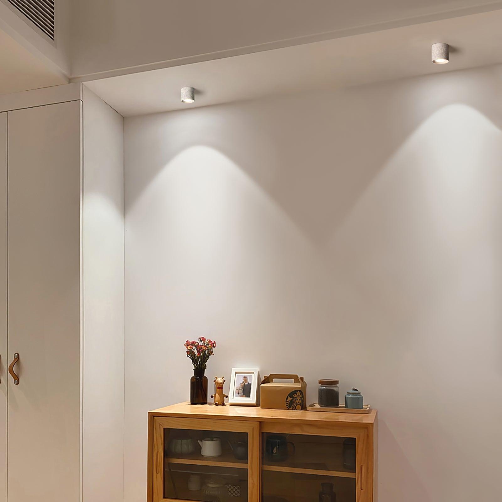 Modern Ceiling Light Fixture | Sleek Metal Design with LED Lens 4