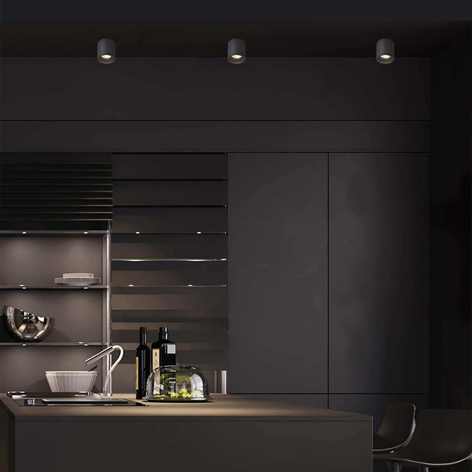 Modern Ceiling Light Fixture | Sleek Metal Design with LED Lens 6
