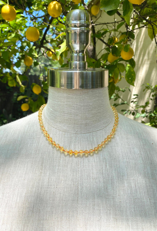 Apelsinmarmelad Halsband
