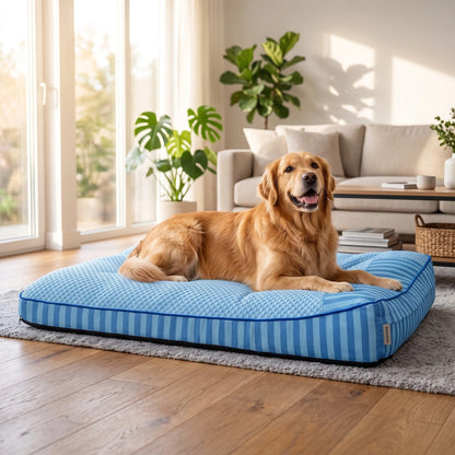 Orthopedic Dog Bed | Large Cooling Bed with Supportive Raised Edges 0