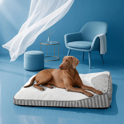 Orthopedic Dog Bed | Large Cooling Bed with Supportive Raised Edges 2