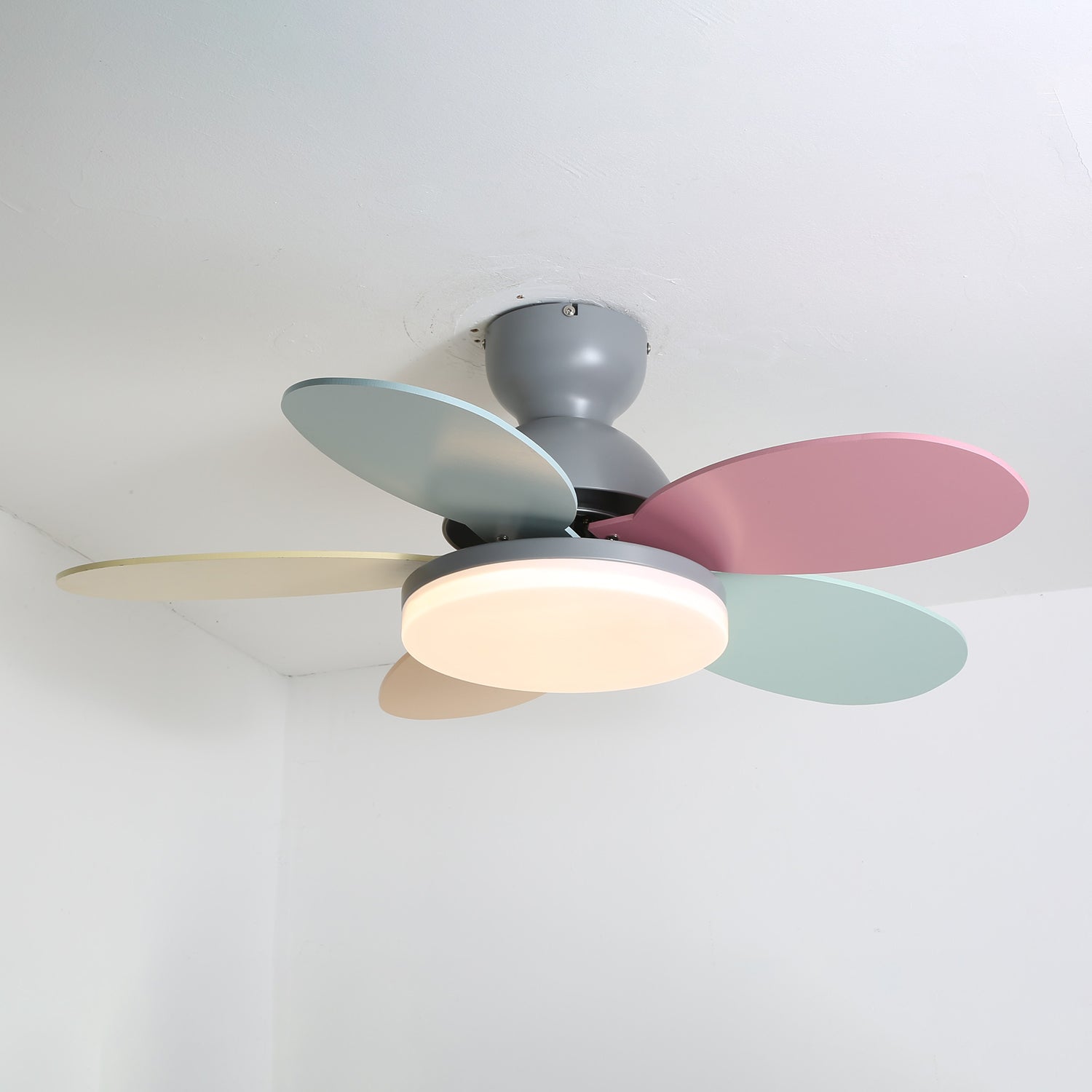 Petalo Ceiling Fan Light | Elegant Flower Petal Design with LED Lighting 0