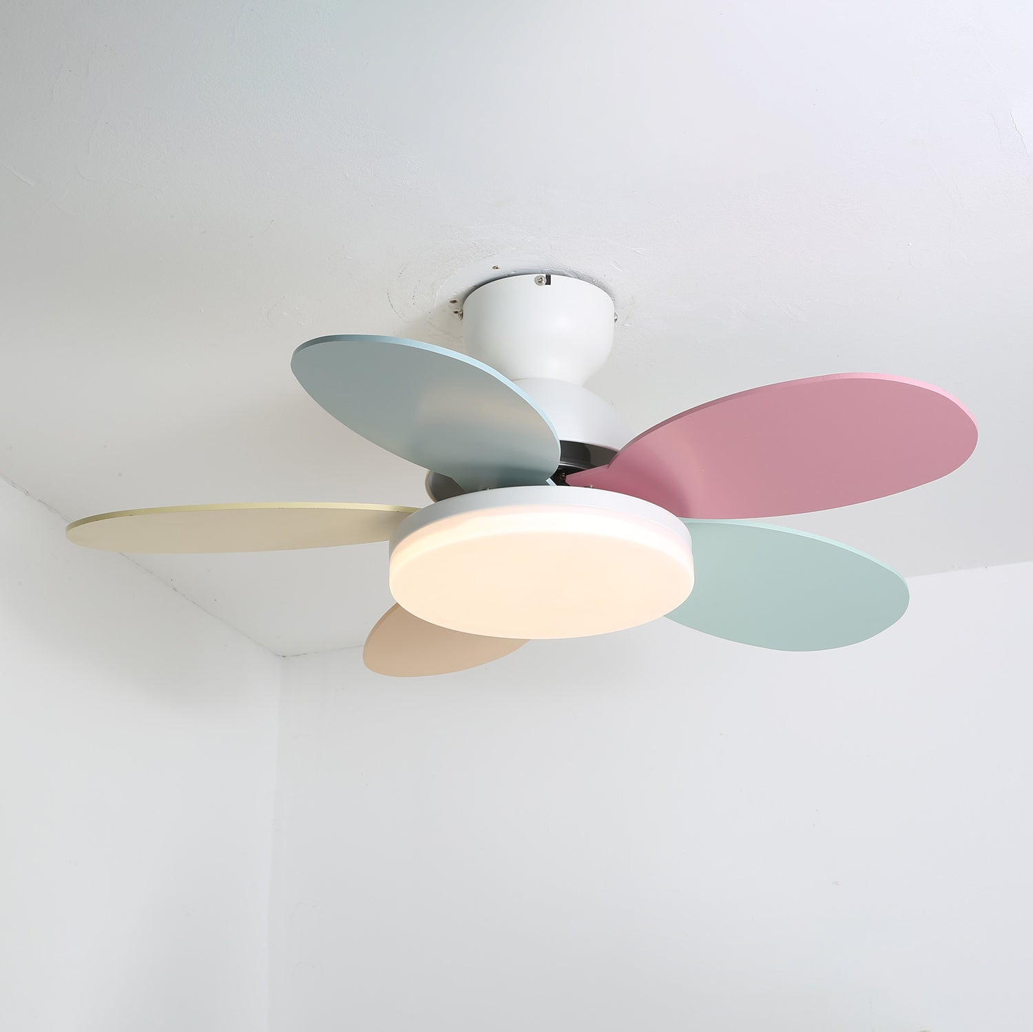 Petalo Ceiling Fan Light | Elegant Flower Petal Design with LED Lighting 4