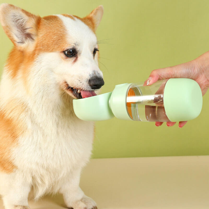 Portable Dog Water Bottle | 2-in-1 Dispenser with Food Container 2