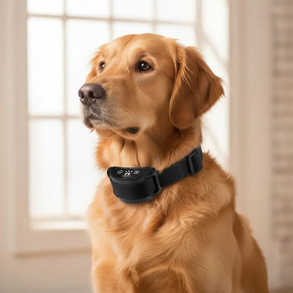 Rechargeable Anti-Bark Dog Collar | Adjustable Vibration Training Device 2