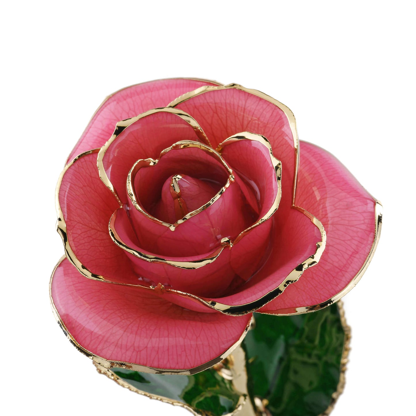 Timeless Rose (Rich Pink)