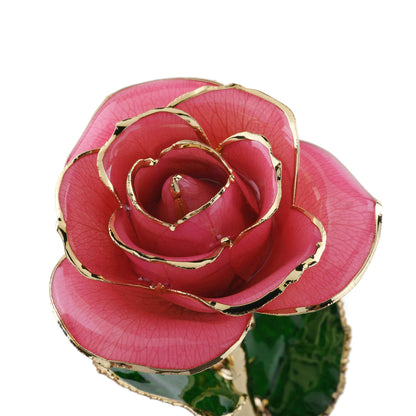 Timeless Rose (Rich Pink)