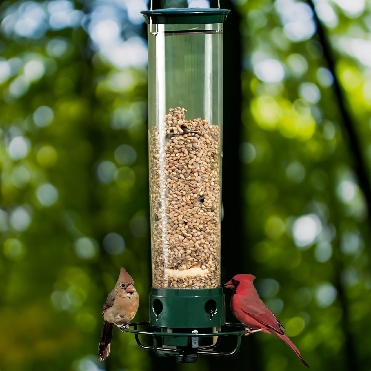 Squirrel Proof Bird Feeder | Weight-Activated Design with 5 lb Capacity 0