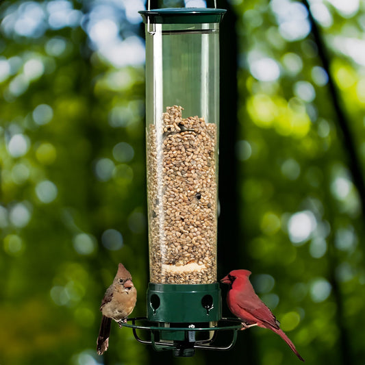 Squirrel Proof Bird Feeder | Weight-Activated Design with 5 lb Capacity 0