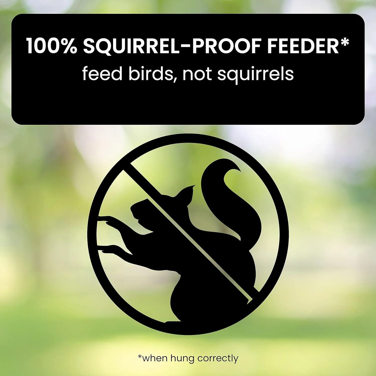 Squirrel Proof Bird Feeder | Weight-Activated Design with 5 lb Capacity 1