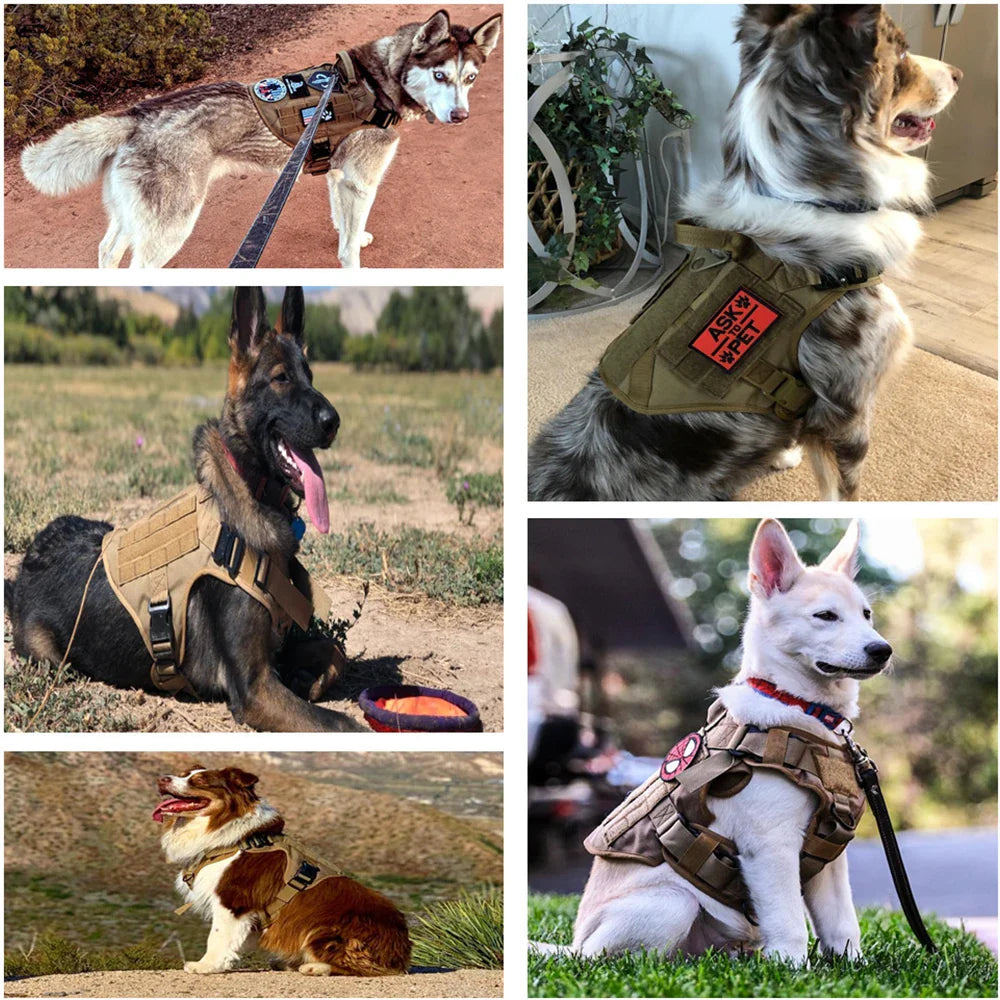 Tactical Dog Harness | Durable Adjustable Harness with Handle & Leash Set 5