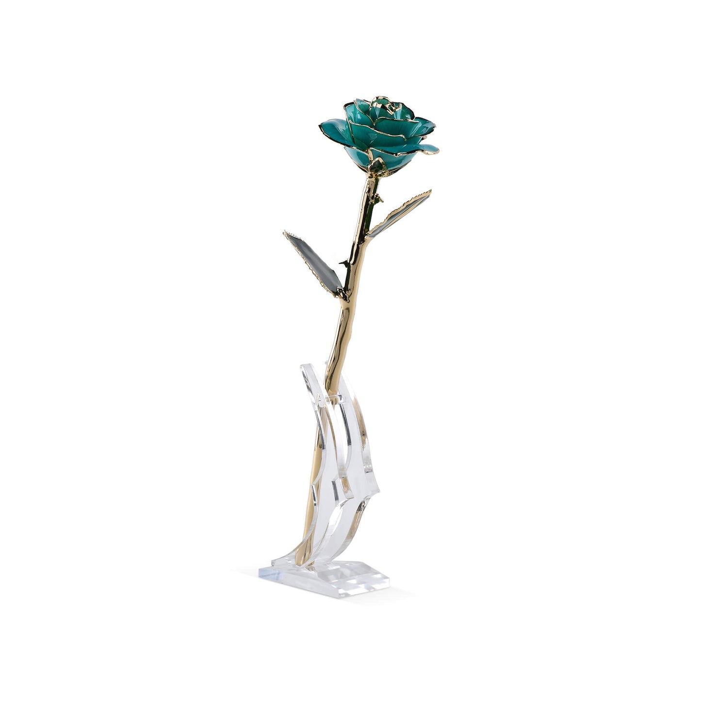 Timeless Rose (Teal)