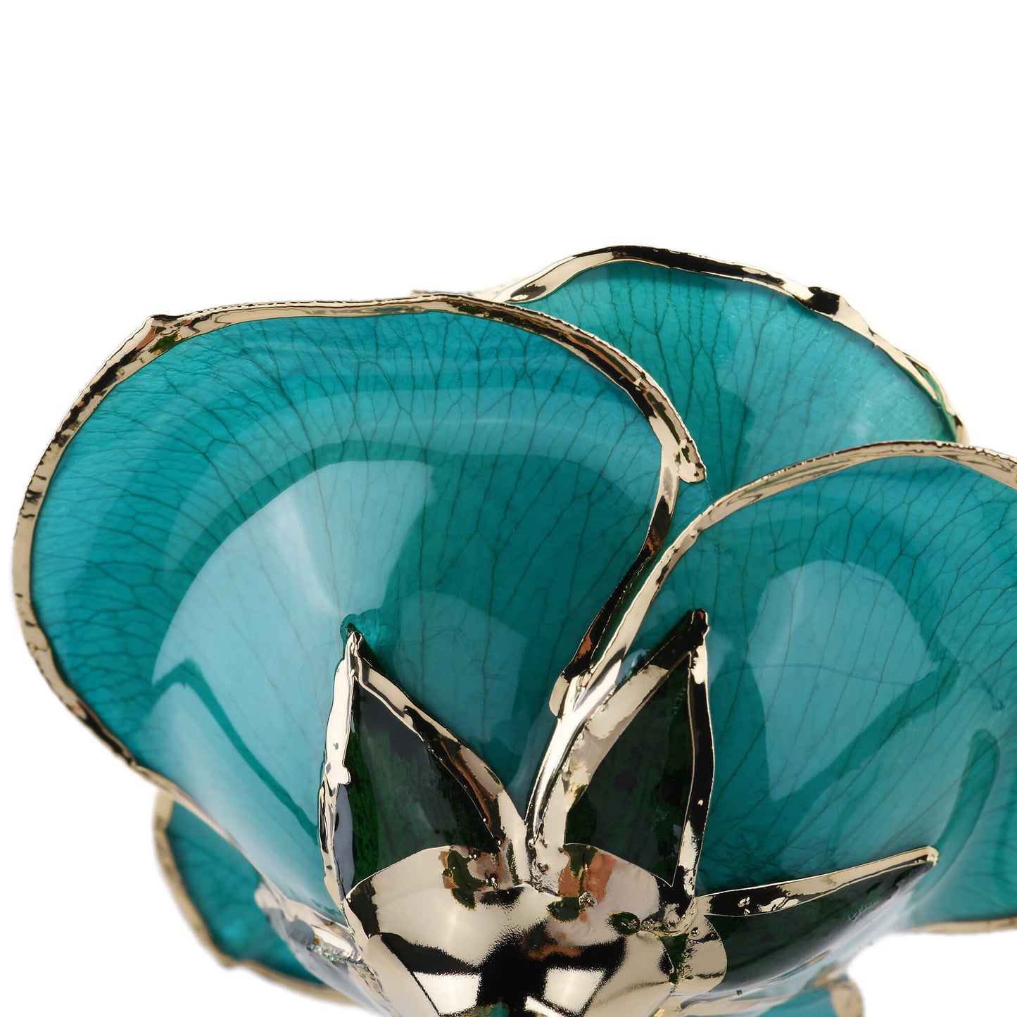 Timeless Rose (Teal)