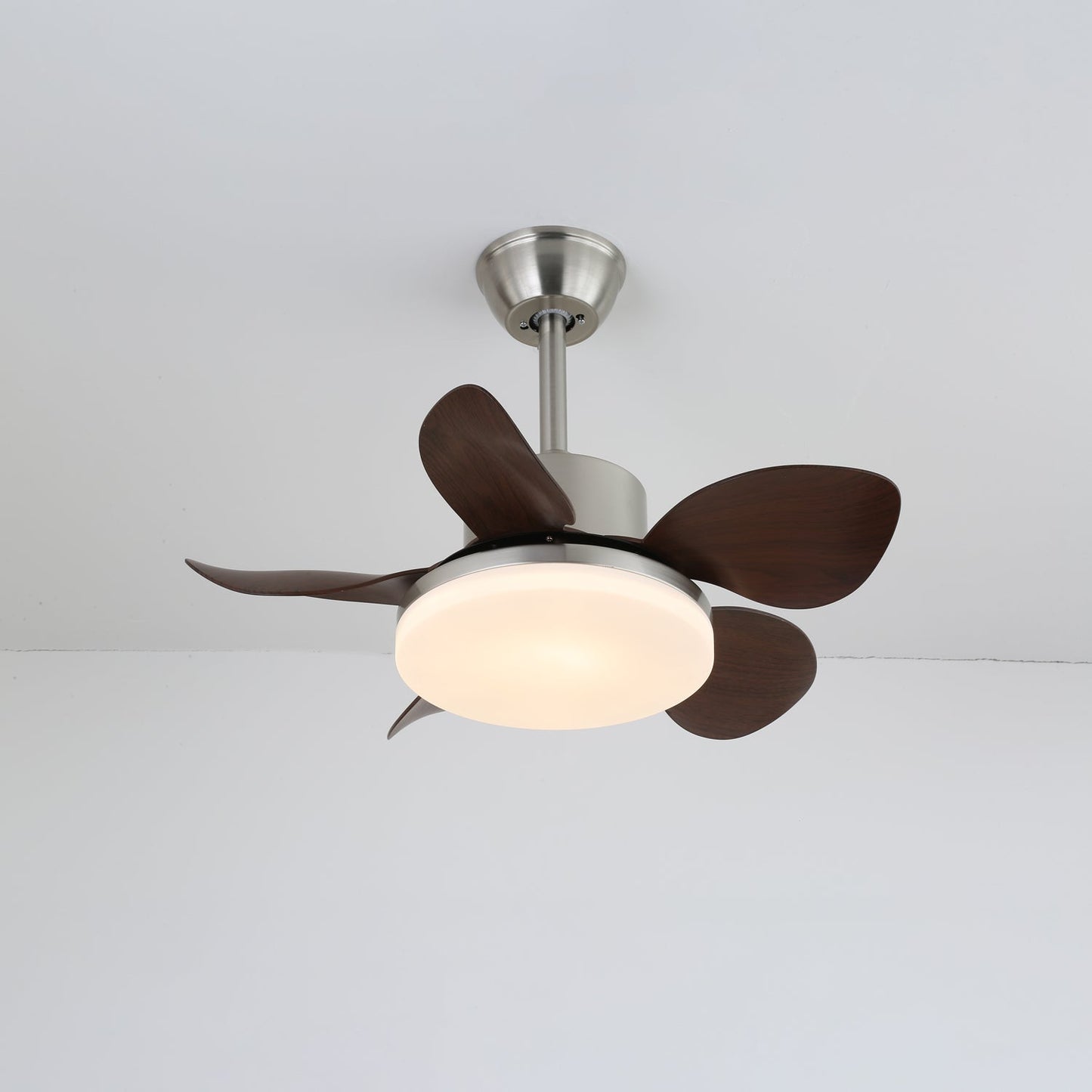 Terra | Walnut Ceiling Fan Light with Integrated LED and 6-Speed Control 0