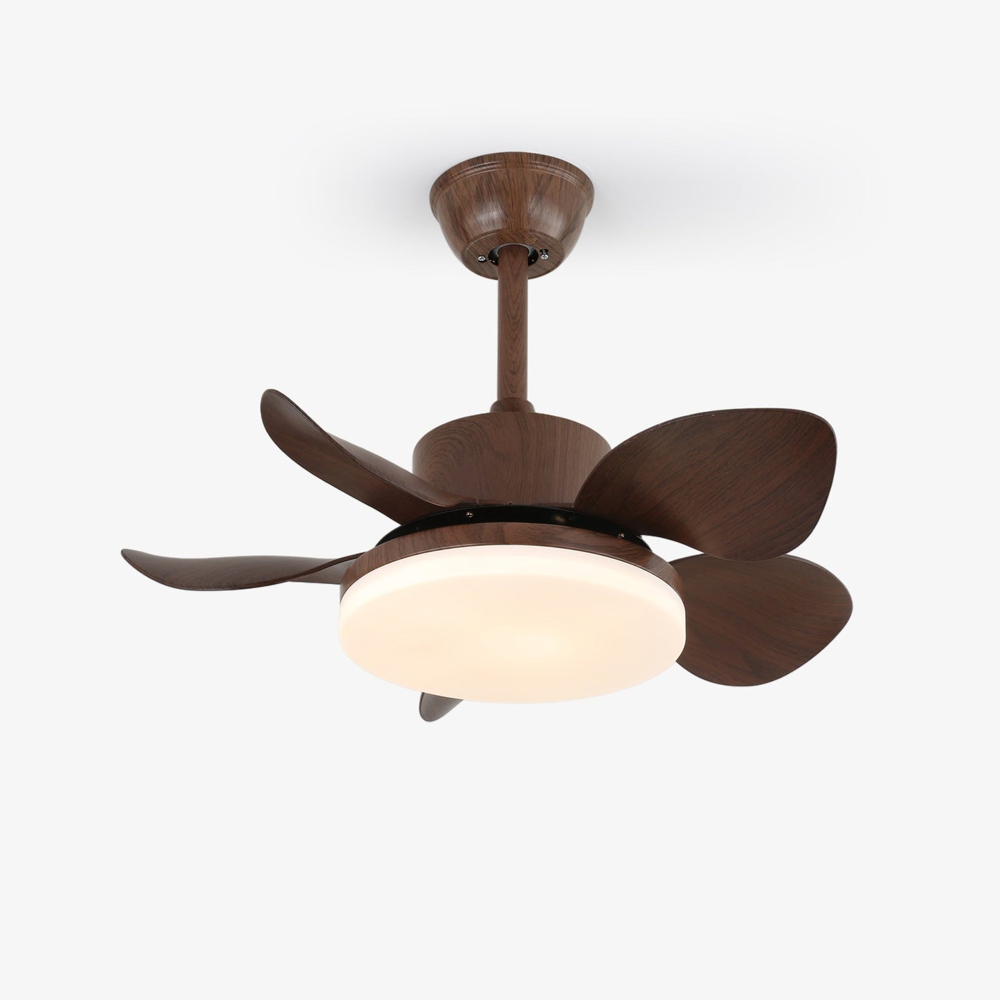 Terra | Walnut Ceiling Fan Light with Integrated LED and 6-Speed Control 1