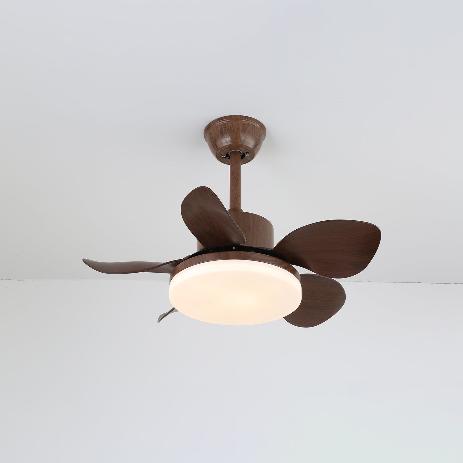 Terra | Walnut Ceiling Fan Light with Integrated LED and 6-Speed Control 6