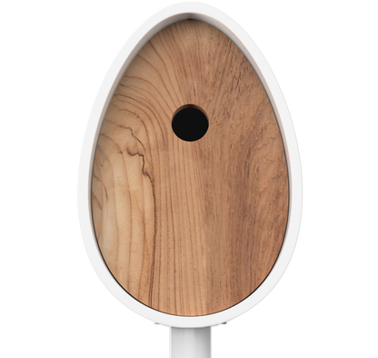 A close-up of a white-framed oval mirror with a natural wood grain reflective surface and a circular black hole in the center, shown against a plain white background.