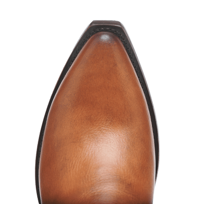 EL GRAN GIGANTE BONACHÓN II