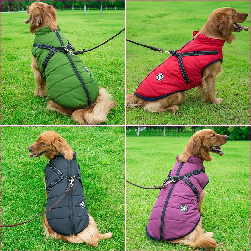 Waterproof Dog Coat | Insulated Design with Built-In Reflective Harness 3