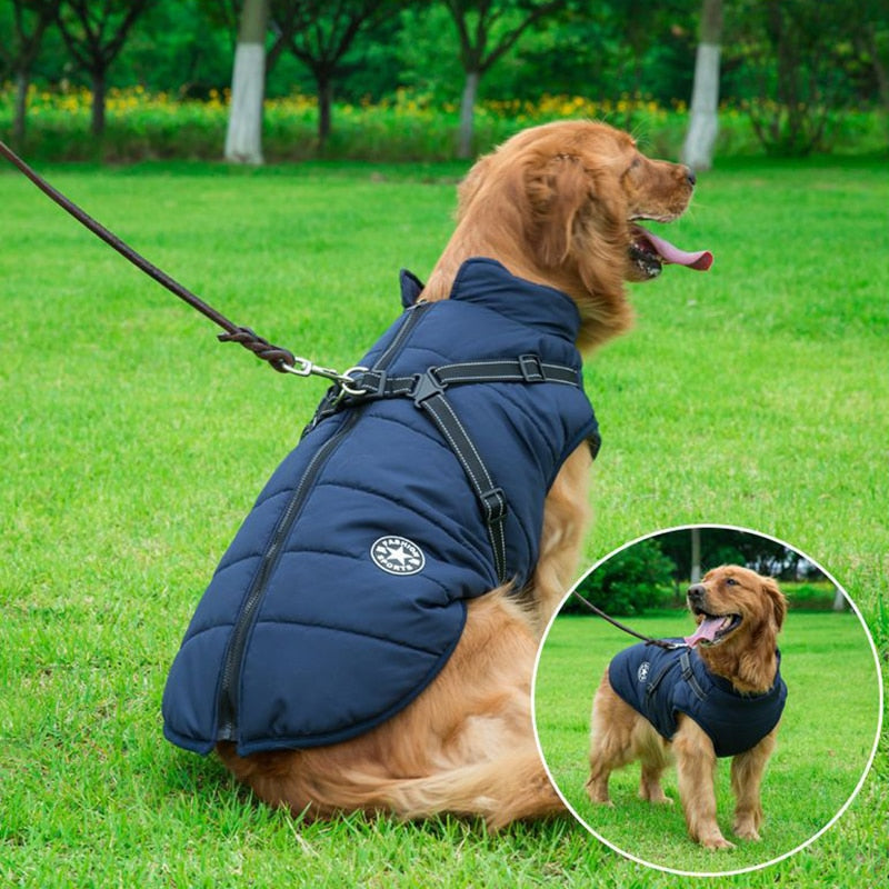 Waterproof Dog Jacket | Insulated Coat with Built-In Harness for All-Weather Protection 1
