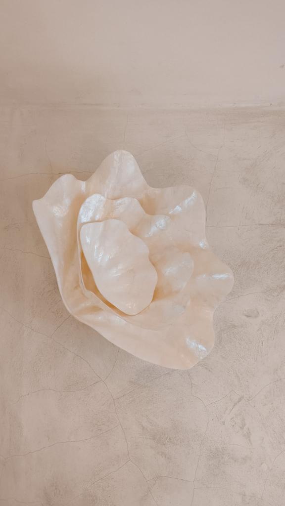 Clam Shell Bowl