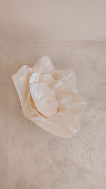 Clam Shell Bowl