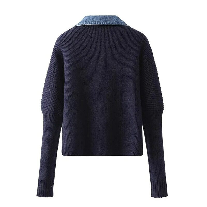 Women's Top | V-Neck Long Sleeve Knit with Denim Appeal and Metal Buttons 1