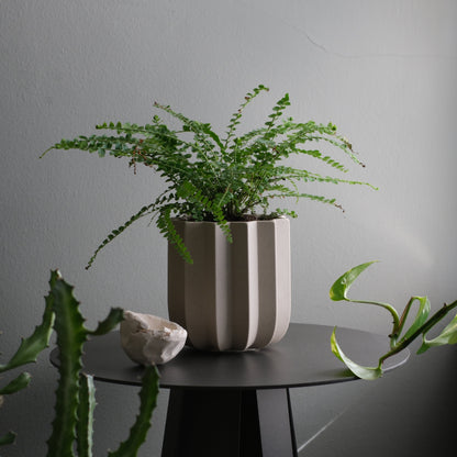 Wrap Planter