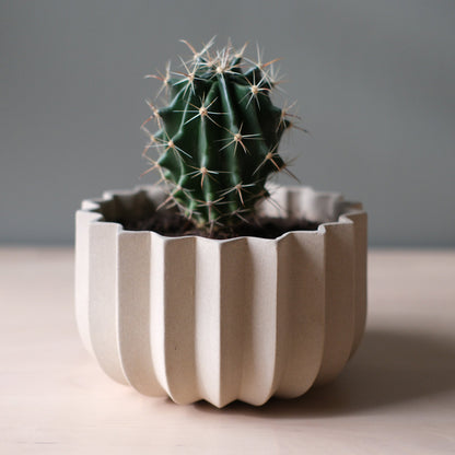 Wrap Planter