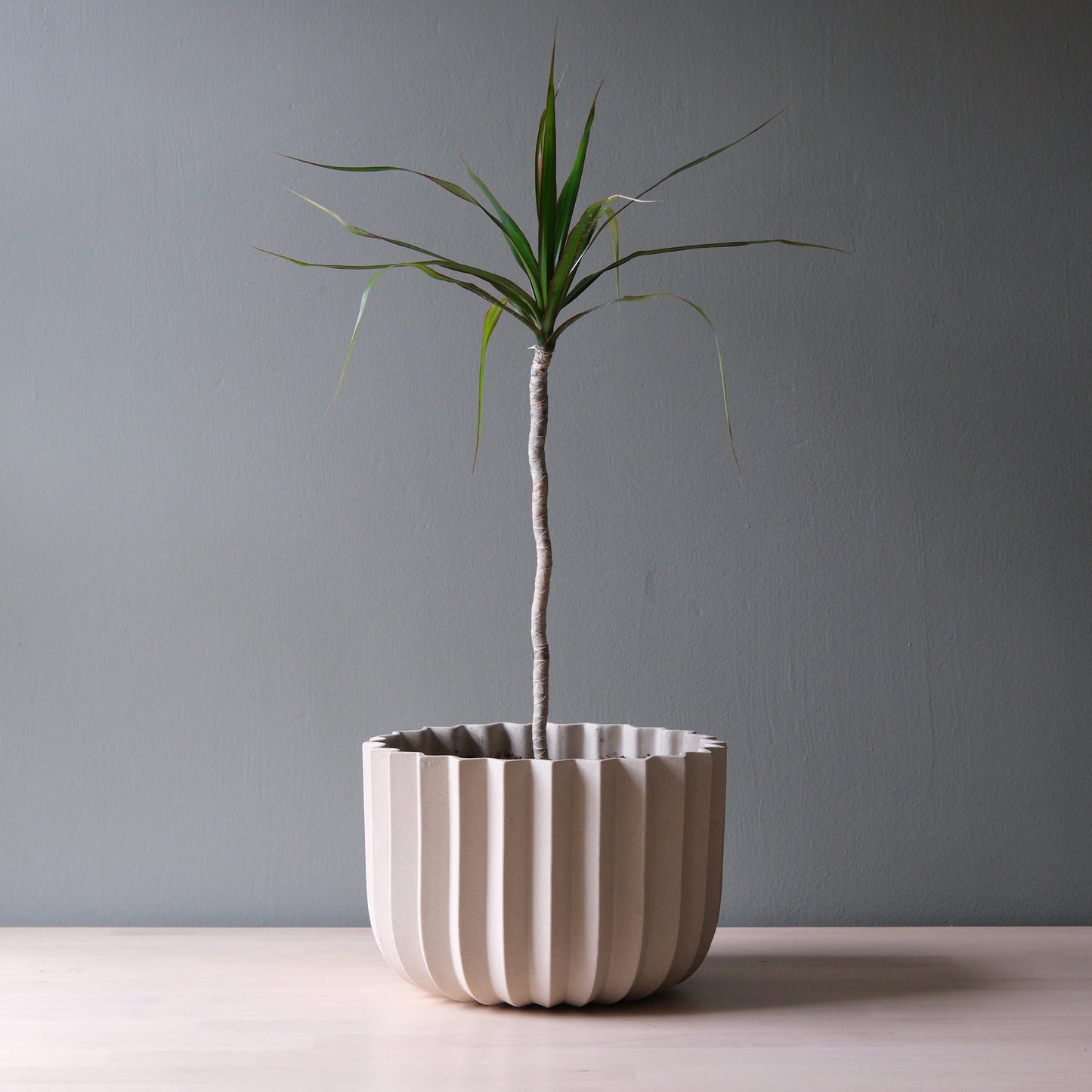 Wrap Planter