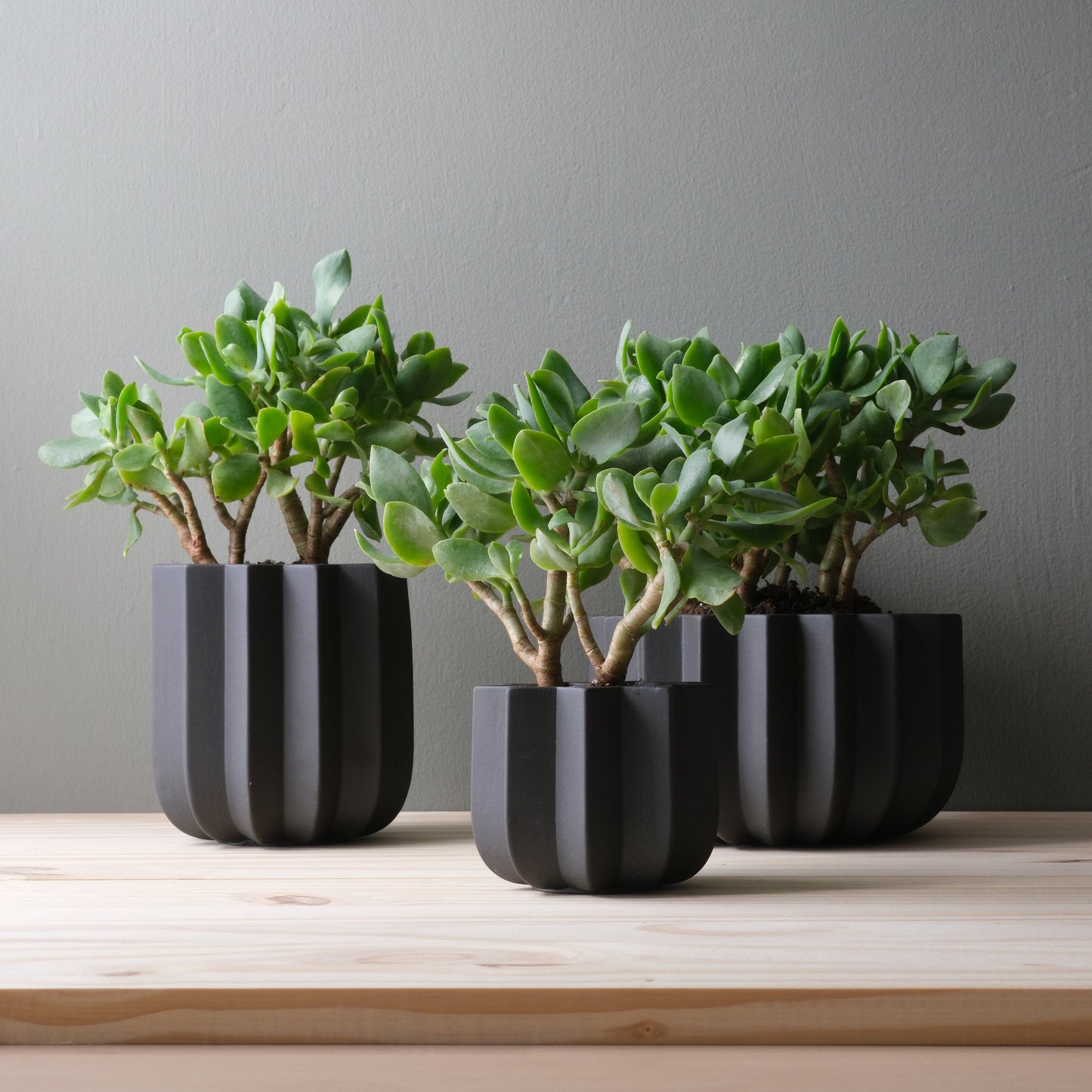 Wrap Planter
