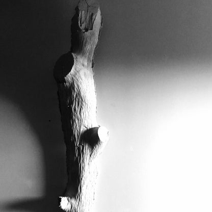 Light Weight Concrete Tree