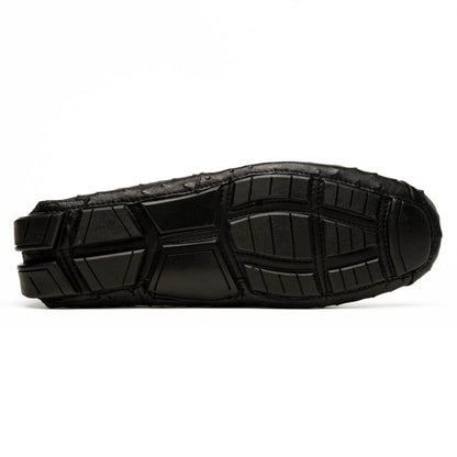 Bolonia Black