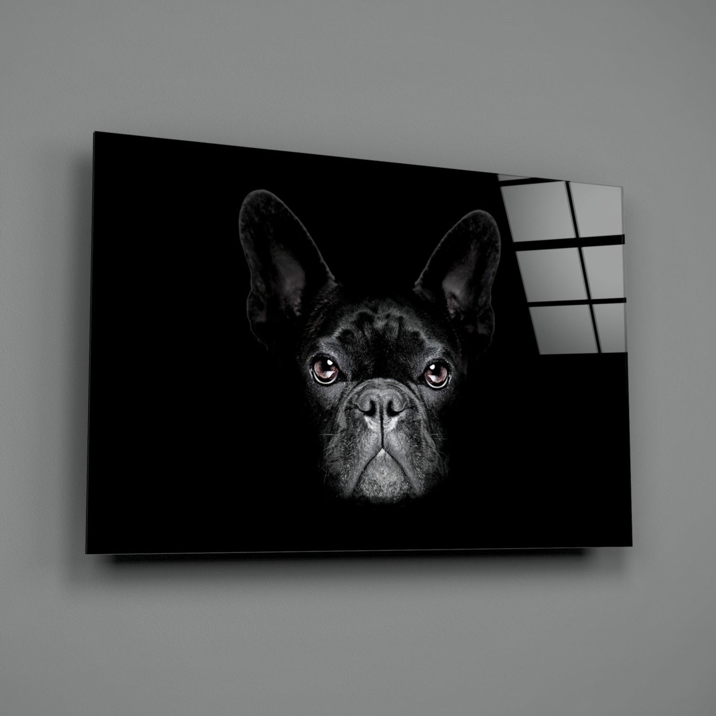 Mustan ranskanbulldogin muotokuva – lasiseinätaide